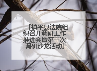 镇平县法院组织召开调研工作推进会暨第三次调研沙龙活动