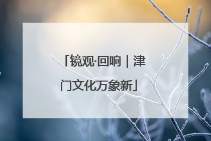 镜观·回响｜津门文化万象新