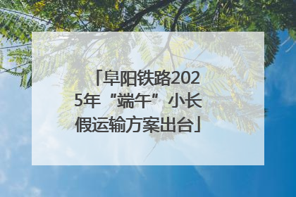 阜阳铁路2025年“端午”小长假运输方案出台