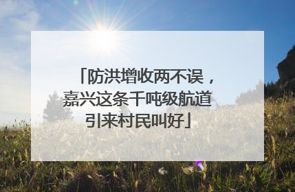 防洪增收两不误，嘉兴这条千吨级航道引来村民叫好
