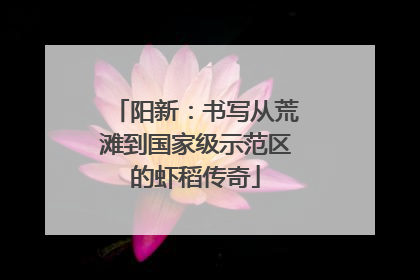 阳新：书写从荒滩到国家级示范区的虾稻传奇