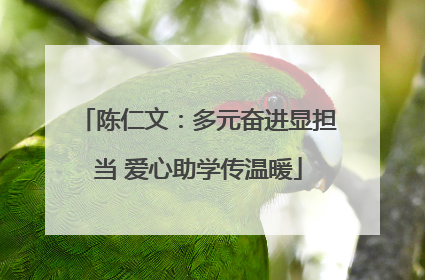 陈仁文：多元奋进显担当 爱心助学传温暖