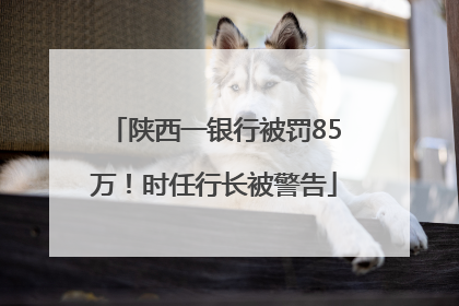 陕西一银行被罚85万！时任行长被警告