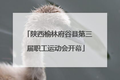 陕西榆林府谷县第三届职工运动会开幕