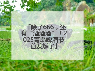 除了666，还有“酒酒酒”！2025青岛啤酒节首发燃了