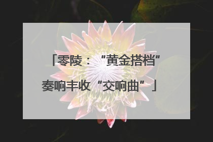 零陵：“黄金搭档”奏响丰收“交响曲”