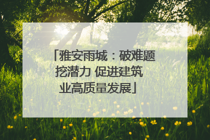 雅安雨城：破难题 挖潜力 促进建筑业高质量发展