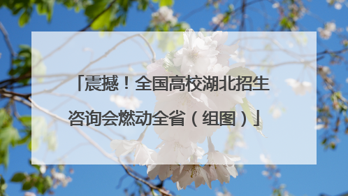 震撼！全国高校湖北招生咨询会燃动全省（组图）