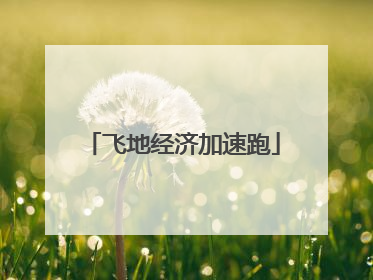 飞地经济加速跑