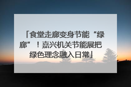 食堂走廊变身节能“绿廊”！嘉兴机关节能展把绿色理念融入日常