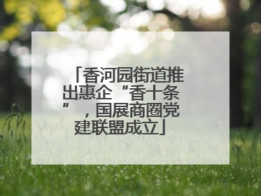 香河园街道推出惠企“香十条”，国展商圈党建联盟成立