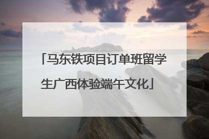 马东铁项目订单班留学生广西体验端午文化
