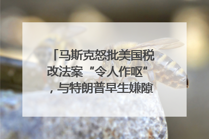马斯克怒批美国税改法案“令人作呕”，与特朗普早生嫌隙？｜国际识局