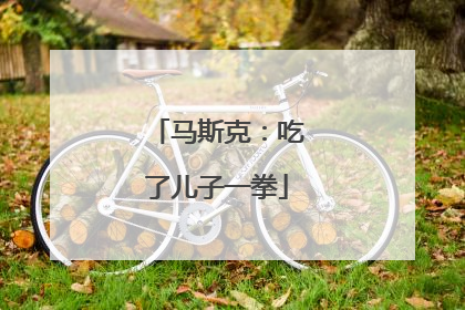 马斯克：吃了儿子一拳