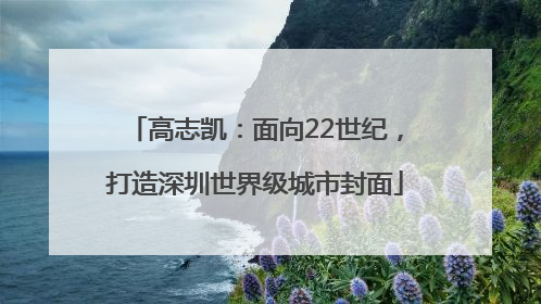 高志凯：面向22世纪，打造深圳世界级城市封面