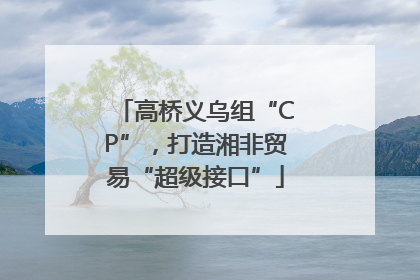 高桥义乌组“CP”，打造湘非贸易“超级接口”