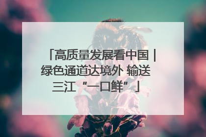 高质量发展看中国｜绿色通道达境外 输送三江“一口鲜”