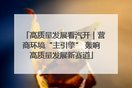 高质量发展看汽开｜营商环境“主引擎” 轰响高质量发展新赛道