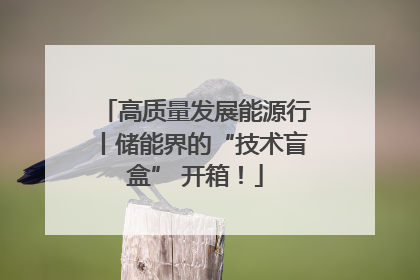 高质量发展能源行丨储能界的“技术盲盒” 开箱！