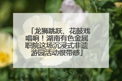 龙狮跳跃、花鼓戏唱响！湖南有色金属职院这场沉浸式非遗游园活动很带感