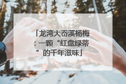 龙湾大岙溪杨梅：一颗“红盘绿蒂”的千年滋味