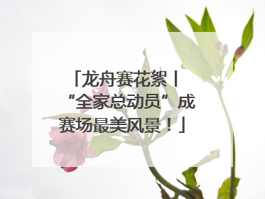 龙舟赛花絮丨 “全家总动员”成赛场最美风景！