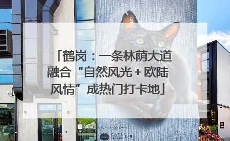 鹤岗：一条林荫大道融合“自然风光＋欧陆风情”成热门打卡地