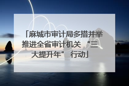 麻城市审计局多措并举推进全省审计机关 “三大提升年” 行动