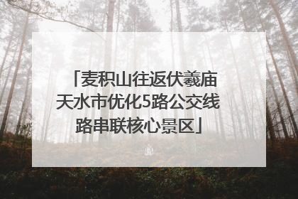 麦积山往返伏羲庙 天水市优化5路公交线路串联核心景区
