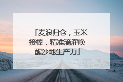 麦浪归仓，玉米接棒，精准滴灌唤醒沙地生产力
