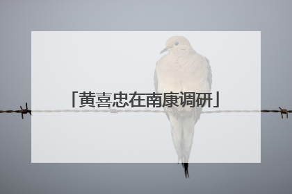 黄喜忠在南康调研