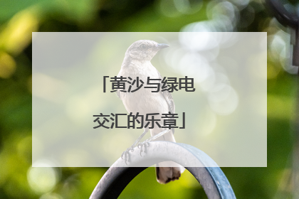 黄沙与绿电交汇的乐章