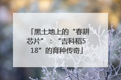 黑土地上的“春耕芯片”：“吉科稻518”的育种传奇