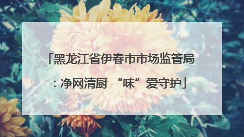 黑龙江省伊春市市场监管局：净网清厨 “味”爱守护