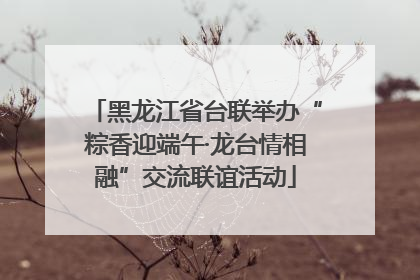 黑龙江省台联举办“粽香迎端午·龙台情相融”交流联谊活动