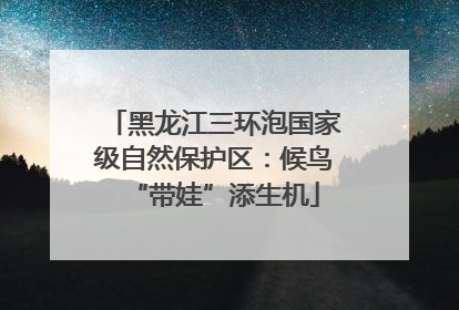 黑龙江三环泡国家级自然保护区：候鸟“带娃”添生机