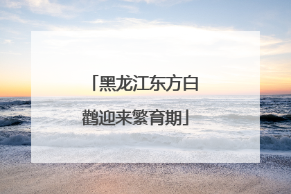 黑龙江东方白鹳迎来繁育期