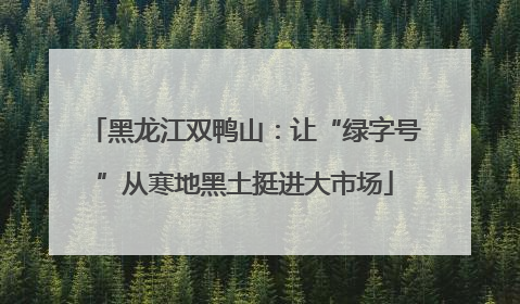 黑龙江双鸭山：让“绿字号”从寒地黑土挺进大市场