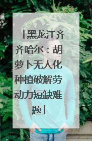 黑龙江齐齐哈尔：胡萝卜无人化种植破解劳动力短缺难题