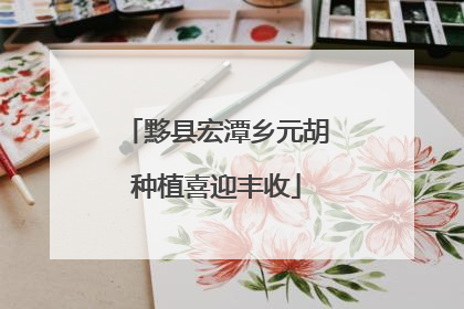 黟县宏潭乡元胡种植喜迎丰收