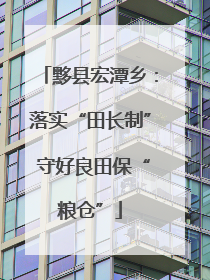 黟县宏潭乡：落实“田长制” 守好良田保“粮仓”
