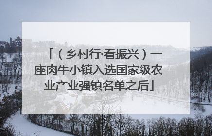 （乡村行·看振兴）一座肉牛小镇入选国家级农业产业强镇名单之后