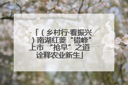 （乡村行·看振兴）南湖红菱“错峰”上市 “抢早”之道诠释农业新生