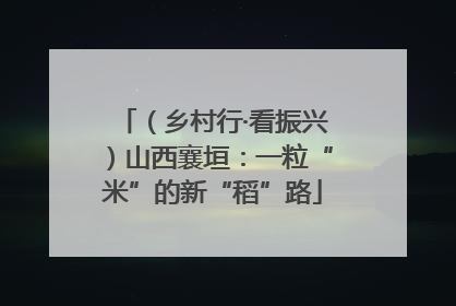 （乡村行·看振兴）山西襄垣：一粒“米”的新“稻”路