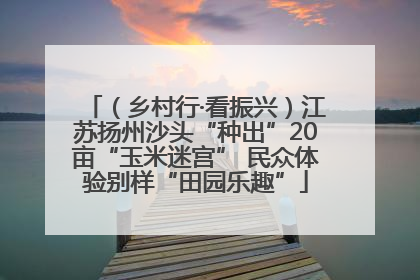 （乡村行·看振兴）江苏扬州沙头“种出”20亩“玉米迷宫” 民众体验别样“田园乐趣”