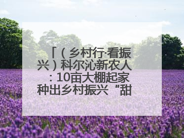 （乡村行·看振兴）科尔沁新农人：10亩大棚起家种出乡村振兴“甜蜜果”