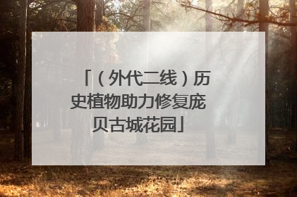 （外代二线）历史植物助力修复庞贝古城花园