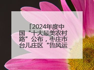 2024年度中国“十大最美农村路”公布，枣庄市台儿庄区“鲁风运河”古城文化廊道上榜！