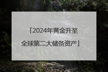 2024年黄金升至全球第二大储备资产