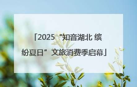 2025“知音湖北 缤纷夏日”文旅消费季启幕